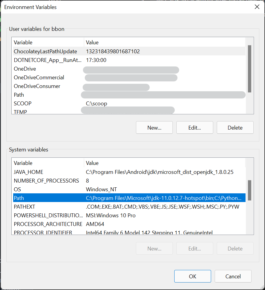 Edit the System Environment Variables